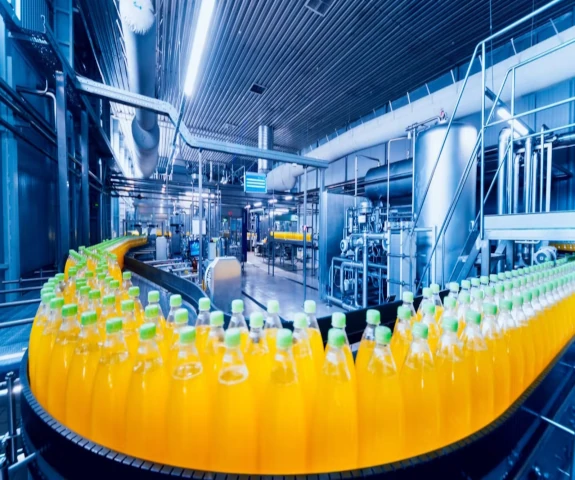 Sant Products Category